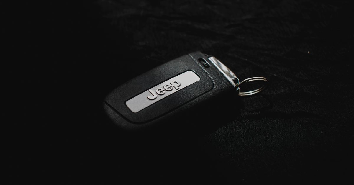 Ford car key fob — Florence Locksmiths